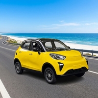 Vehículo Eléctrico de Lujo, Mini Hatchback Totalmente Automático de 4 Plazas, Paquete de Viaje Urbano de Nueva Energía