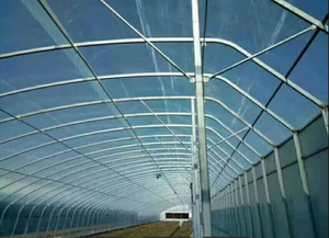 Promotion de lampes de <span class=keywords><strong>culture</strong></span>, jardin vertical hydroponique, collecteur de rosée, bâche préfabriquée transparente, rouleau de serre pour <span class=keywords><strong>oignon</strong></span> - Product Image 6