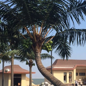 Tùy Chỉnh Nhân Tạo Cây Cọ Trắng Cao Mô Phỏng Coconuttree Sợi Thủy Tinh Thân Cây Giả Ngày Cây Cọ Cho Trang Trí - Product Image 4