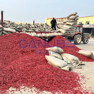 Professional Mesh Belt Chili Dryer Machine Dried Chili Production Line Chili <b>Drying</b> <b>Equipment</b> - Product Image 2