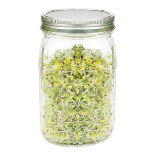 Seme Vaso Germinazione Kit 2 Sprouter Coperchi di vetro Vasi di Muratore con Schermo Stand e Vassoi - Product Image 5