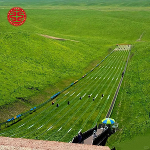 Grand toboggan extérieur sur herbe, ski alpin, toboggan extrême, équipement d'amusement non motorisé, toboggan sec, toboggan arc-en-ciel sur herbe - Product Image 5