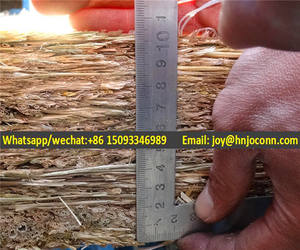 Machine à tresser les matelas en fibre <span class=keywords><strong>de</strong></span> coco à bon prix / Machine à tricoter les tapis en roseau personnalisée / Machine à fabriquer des planches en roseau à bas prix - Product Image 6