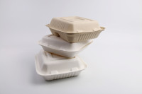 Boîte à clapet en papier de bagasse de canne à sucre biodégradable pour plats à emporter