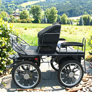Chariot de tourisme et de marathon en acier inoxydable - Product Image 4