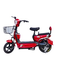 Moto Électrique Adulte Puissante 300-500W, Scooter Électrique CE, Mobylette Électrique Vente en Gros Usine