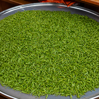 Poudre de thé vert Matcha de qualité culinaire conforme aux normes européennes pour la cuisine, vente en gros, OEM, ODM, en vrac, 10 kg, MOQ