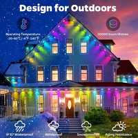 Vente chaude LED Pixel Point Éclairage DC24V Décoration Extérieure Étanche IP67 RGBIC Permanent LED Noël Pixel Lumières