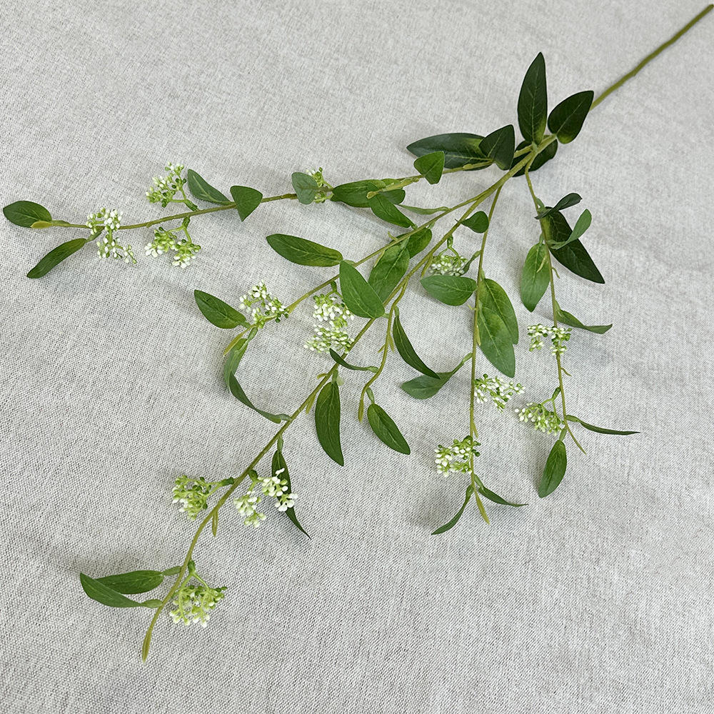 สีเขียว