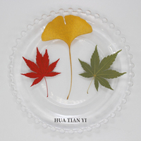 Daun Alami yang Dipres dan Dikeringkan, Daun Maple, Ginkgo, dan Pakis untuk Kerajinan Resin DIY, Bingkai Foto Maple Pakis Bambu, dan Kerajinan Jurnal