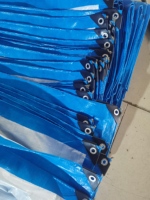 Bâche en PE robuste et imperméable, sur mesure en Chine, 20 X 30, 30x50, 40 X 60, 20x20, 15 X 15, 10x10