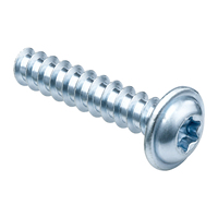 Vis autotaraudeuses TPW Torx à tête plate pour plastique, 10.9 Zinc Nickel Noir SS304 Disponibles K2-K4 ST2-ST4