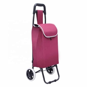 Chariot de supermarché portable ultraléger Sac à roulettes pour aliments Pliant Étanche Cadre en acier inoxydable Style Surface Chrome Brevet Poids Origine