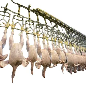 2024 hot sale new chicken price eruis poultry slaughter chicken line equipment