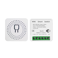 Interrupteur intelligent inductif WiFi Tuya, mini boîtier encastré, commande simple ou double, contrôle vocal Alexa, sans fil, 16A 100-240V