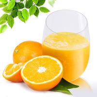 BST 16oz verre à vin en plastique incassable sans tige tritan lavable au lave-vaisselle
