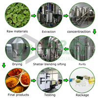 Wuhan PNQ 100% Natural Brazilian Spray Freeze Dried Acai Berry Extract Powder
