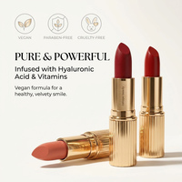 Rouge à lèvres longue tenue végétalien, imperméable, fini mat velours givré, anti-transfert, aspect naturel, gloss à lèvres personnalisé effet brume, OEM