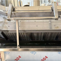 Freidora Continua Electrónica para Carne, Papas Fritas, Snacks y Patatas Fritas, Máquina para Freír Alimentos con Control de Temperatura Ajustable