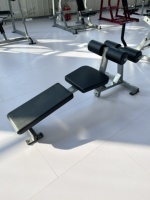 Banc de musculation inclinable ROSEN robuste pour salle de sport commerciale, entraînement de la partie inférieure du torse