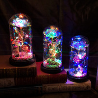 Boîte cadeau en verre avec lumière LED pour la Saint-Valentin, avec une rose éternelle pour la fête des mères, anniversaire, plantes décoratives