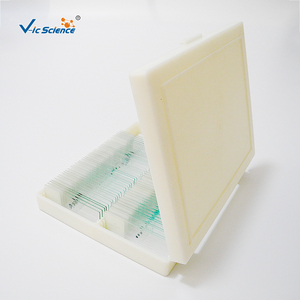 สไลด์เนื้อเยื่อจริงสำหรับการศึกษาพยาธิวิทยาของมนุษย์ 100 ชิ้น ชุดสไลด์สำเร็จรูปสำหรับห้องปฏิบัติการ วัสดุการ<span class=keywords><strong>สอน</strong></span>สำหรับตัวอย่างเนื้อเยื่อ - Product Image 2