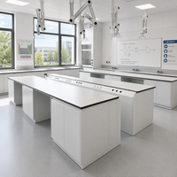 Banc de travail en acier pour laboratoire avec armoires de rangement pour produits chimiques, pour hôpitaux, écoles et ateliers