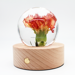 Bola redonda, planta botánica colorida, flor prensada seca, epoxi, flor prensada Real, flor de resina, bola de cristal, artesanías - Product Image 6