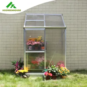 Low-Cost-Hallen beliebte Kunststoff abdeckung Mini Indoor kleine Lean zu Gewächs häusern für Tomaten blume Gewächshaus