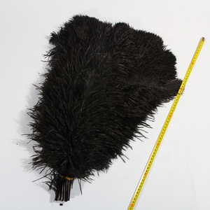Pour les décorations 60-65cm <span class=keywords><strong>plume</strong></span> d'autruche <span class=keywords><strong>noire</strong></span> en gros grandes plumes d'autruche naturelles moelleuses pour décor de carnaval de fête d'événement - Product Image 2