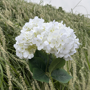5 Branches de fleurs artificielles d'hortensia blanches de 48 cm de longueur avec feuilles pour la décoration d'événements, de fêtes, de mariages et de locations. - Product Image 6