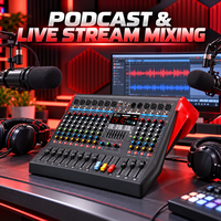 Console audio analogique série LX-R 4, 6, 8, 12 canaux avec égaliseur USB MP3 DSP pour groupes live, studios d'enregistrement et spectacles de karaoké