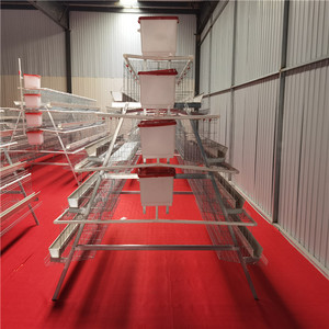 Cage à poulets 3 niveaux 5 portes type A pour 120 poulets/ensemble, poulailler pour poules pondeuses - Product Image 4