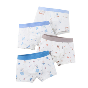 Culotte personnalisée douce et respirante pour adolescents sous-vêtements pour tout-petits culotte souple pour bébés enfants en coton biologique pour garçons - Product Image 6