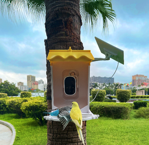 Mangeoire intelligente 2L avec caméra HD Noël essentiel pour les amoureux des oiseaux - Product Image 1