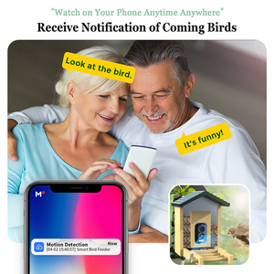 Nouveau observateur d'oiseaux Intelligent Icsee pour caméra mangeoire à oiseaux 5MP HD caméra de Vision nocturne caméra étanche à faible puissance à énergie solaire - Product Image 3