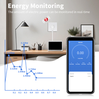ZigBee Socket Energy Monitor Double Smart 1-3 frame Meter Sockets Google Smart Life App Alexa EU Plástico Blanco