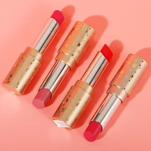 Nhãn hiệu riêng bán buôn nhà sản xuất Hot Phong Cách cạnh tranh Matte giá thấp Hữu Cơ Vàng Lip Stick