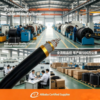 Cable de Alimentación Industrial Subterráneo Multifilar de Acero, Conductor de Cobre Blindado, Aislamiento de PVC, Revestimiento de PVC, IP65, Alto Voltaje