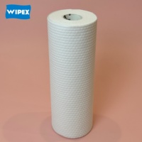 WIPEX Fusselfreie Küchentücher Wiederverwendbare Reinigungstücher Rolle Waschbare Spunlace-Tücher Einweg-Haushaltsreinigungstücher