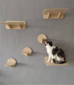 Meilleure Vente Hoopet : Cadre d'escalade mural simple, style luxe et dessin animé, jouet interactif pour animaux de compagnie, escaliers et rampes - Product Image 4