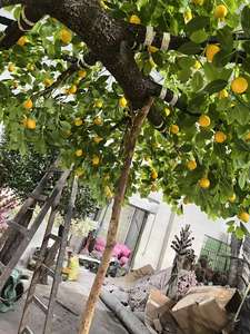 Árbol Artificial Grande, Árbol Falso de Imitación <span class=keywords><strong>Gigante</strong></span>, Decoraciones de <span class=keywords><strong>Limonero</strong></span> para Hoteles, UV, Restaurantes al Aire Libre - Product Image 6