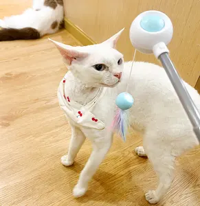 Neues Design Haustier Spielzeug Katze Teaser Zauberstab Feder Quasten Dehnbare interaktive Laser Katzen spielzeug Katze Teaser Stick