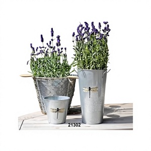 Customized Wholesale Unique Design Antique Zinc Galvanized Garden Planter - Product Image 1