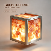 Lampe en cube de sel de l'Himalaya sur mesure avec cristal de roche rose naturel et cadre en acier inoxydable pour la décoration de chambre et de spa