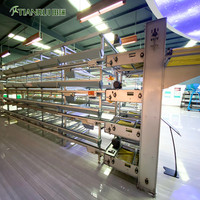 Tilta — Cage de poulet avec couche de batterie en H, Design moderne, système de ferme de volaille, système de Production d'œufs, maison, prêt à livraison