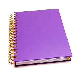 <span class=keywords><strong>Carnet</strong></span> à spirales <span class=keywords><strong>personnalisé</strong></span> <span class=keywords><strong>de</strong></span> haute qualité, couverture rigide, pelliculage, planificateur quotidien, journal <span class=keywords><strong>de</strong></span> <span class=keywords><strong>santé</strong></span> mentale, impression offset, boîte cadeau - Product Image 2