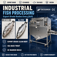 Écailleuse Industrielle à Jet d'Eau Acier Inox Alimentaire Pression jusqu'à 90 bar pour Loup de Mer Écaillage du Poisson