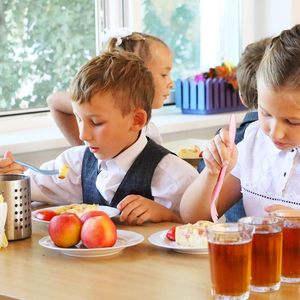 Juego de cubiertos de viaje reutilizables sin BPA ecológicos, 4 cuchillos portátiles, tenedor, cucharas, vajilla desechable para comer en movimiento - Product Image 5