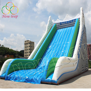 <span class=keywords><strong>Giant</strong></span> Thương Inflatable Đôi Ngõ Trượt Nước Với Hồ Bơi Cho Người Lớn - Product Image 3
